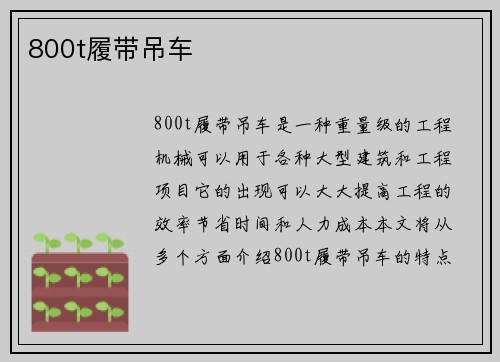 800t履带吊车